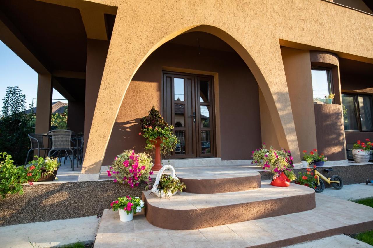 Dania&Petru Residence Tirgu Ocna Exterior photo